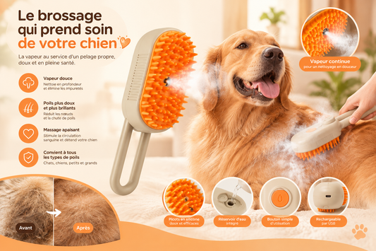 Brosse à Vapeur VapoPet – Toilettage Chat & Chien